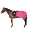 Weatherbeeta Exercise Sheet 300D Reflective Pink -Waldhau Paard Winkel 44638090.27f083