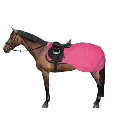Weatherbeeta Exercise Sheet 300D Reflective Pink 3 Weatherbeeta Exercise Sheet 300D Reflective Pink