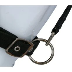 Harry's Horse Vliegenmasker Halster Met Oren 11 Harry's Horse Vliegenmasker Halster Met Oren -Waldhau Paard Winkel agradi 445904032 5.6f115e