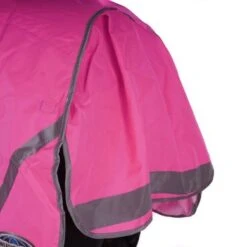 Weatherbeeta Exercise Sheet 300D Reflective Pink 15 Weatherbeeta Exercise Sheet 300D Reflective Pink -Waldhau Paard Winkel agradi 44638090 4.be957d