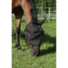 EQUITHÈME Vliegenmasker Anti-UV Protec Zwart -Waldhau Paard Winkel ekkia 306 753 003 det.53e23c