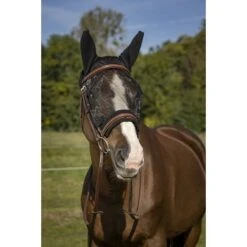 EQUITHÈME Vliegenmasker Anti-UV Training Zwart -Waldhau Paard Winkel ekkia 306 920 203 ambi1.680f64