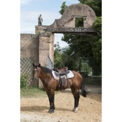 Westride Vilten Pad Grijs 81cm X 81cm -Waldhau Paard Winkel ekkia 801 101 011 ambi3.0086f5
