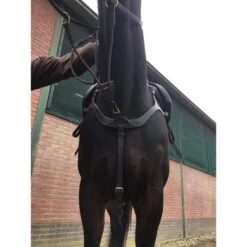 Harry's Horse Voortuig Deluxe Bruin -Waldhau Paard Winkel hh 28300071 3.44c3f5