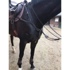 Harry's Horse Voortuig Deluxe Bruin -Waldhau Paard Winkel hh 28300071 4.6ebfbd