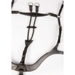 Harry's Horse Voortuig Deluxe Zwart -Waldhau Paard Winkel hh 28300071 zwart 2.89a68a