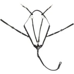 Kavalkade Borsttuig Leyla Zwart Cob/Full