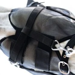 Kavalkade Vliegenmasker Beugel Zwart -Waldhau Paard Winkel kavalkade 36113 04.42946a