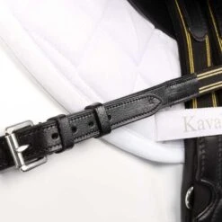 Kavalkade Borsttuig Caya Bruin -Waldhau Paard Winkel kv 16904 06.4d7bf2