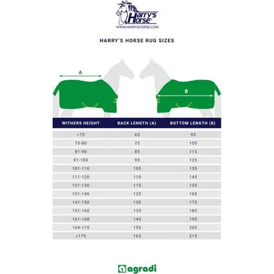 Harry's Horse Uitrijdeken Reflective Reflecterend 10 Harry's Horse Uitrijdeken Reflective Reflecterend - Afbeelding 9