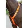 Equi-Flector Borststuk Reflecterend Oranje 1 Equi-Flector Borststuk Reflecterend Oranje -Waldhau Paard Winkel shires 9405 orange 2.eb30c2