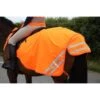 Equi-Flector Uitrijdeken Mesh Reflecterend Oranje -Waldhau Paard Winkel shires 9408 orange.6b1231