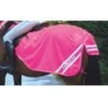 Equi-Flector Uitrijdeken Waterproof Reflecterend Roze -Waldhau Paard Winkel shires 9439 pink 1.c3899c