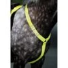 Equi-Flector Borststuk Reflecterend Fluor Geel -Waldhau Paard Winkel sk 9re130 1195.f9931b