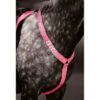 Equi-Flector Borststuk Reflecterend Fluor Roze -Waldhau Paard Winkel sk 9re130 1196.904002