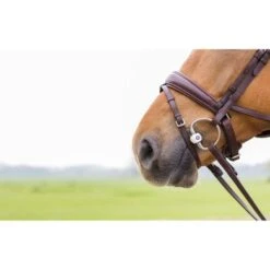 Trust Bustrens Inno Sense Tongboog Hard -Waldhau Paard Winkel trust 864a2062.e9d464 1