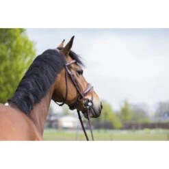 Trust Watertrens Inno Sense Port Medium -Waldhau Paard Winkel trust 864a2177.b070b1