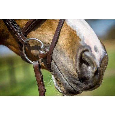 Trust Bustrens Kleine Ring Leer 4 Trust Bustrens Kleine Ring Leer - Afbeelding 2