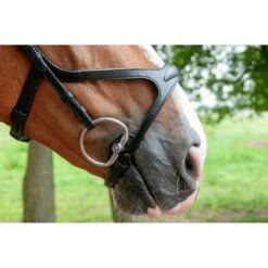 Trust Trens Sweet Iron Eggbut Brass Ring -Waldhau Paard Winkel trust dsc 5019 170120.269d35