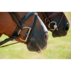 Trust D-bit Sweet Iron Mullen 6 Trust D-bit Sweet Iron Mullen -Waldhau Paard Winkel trust dsc 6400.ea21fa 5