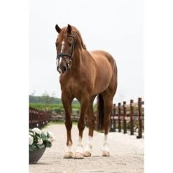 Trust Pessoa Watertrens Inno Sense 2,5 Ring Flexi Soft 7 Trust Pessoa Watertrens Inno Sense 2,5 Ring Flexi Soft -Waldhau Paard Winkel trust tom 4586.75acb3 3