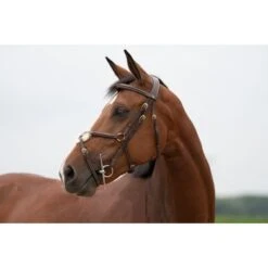 Trust Trens Sweet Iron Full Cheek Locked -Waldhau Paard Winkel trust tom 4780.baf00e 1
