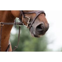 Trust D-bit Sweet Iron Arched -Waldhau Paard Winkel trust tom 5132.8eb666