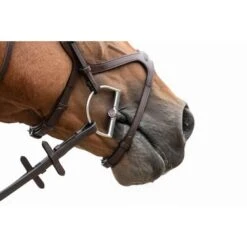 Trust Stang Sweet Iron Dee Brass Ring -Waldhau Paard Winkel trust tom 5137.fb3ff0 4