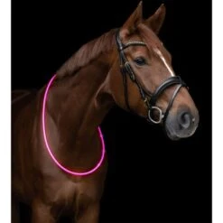 Waldhausen Halsring LED Roze 150cm -Waldhau Paard Winkel wald 5733431 22.03f215