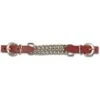 Star Kinketting Western Bruin 2 Star Kinketting Western Bruin -Waldhau Paard Winkel wald 9455330 0.1e103f