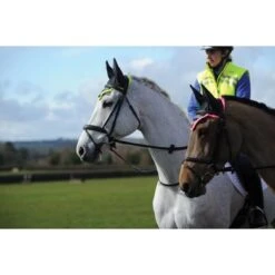 Weatherbeeta Oornetje Reflective Roze -Waldhau Paard Winkel wb 1004917004 1004917002 wb reflect bonnet lifestyle.3a4a0a 1