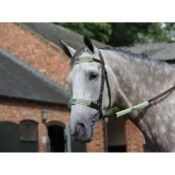 Weatherbeeta Hoofdstel Kit Reflective 4 Stuks Geel One Size