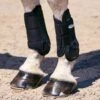 Weatherbeeta Beschermers Voor Cross Country Flexi Shell Zwart -Waldhau Paard Winkel wb 807616.8de461