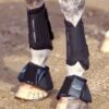 Weatherbeeta Eventing Beschermers Voor Zwart -Waldhau Paard Winkel wb 807624 standing.7f41e6